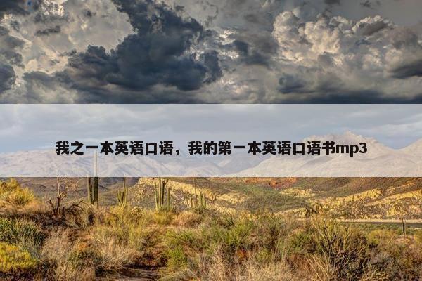 我之一本英语口语，我的第一本英语口语书mp3