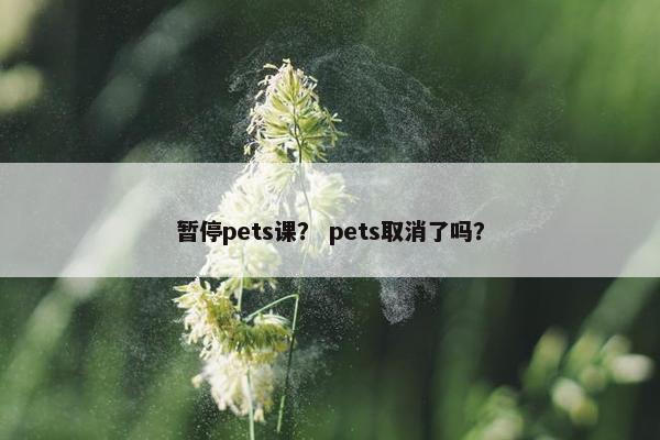 暂停pets课？ pets取消了吗？