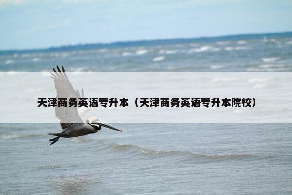 天津商务英语专升本（天津商务英语专升本院校）