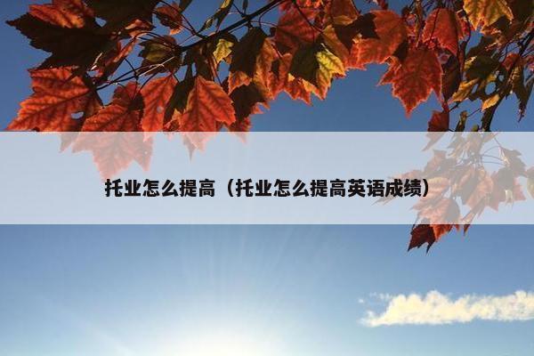 托业怎么提高（托业怎么提高英语成绩）