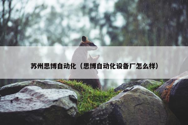 苏州思博自动化（思博自动化设备厂怎么样）