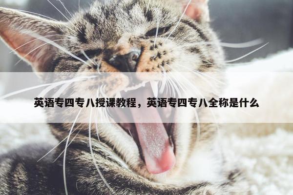 英语专四专八授课教程，英语专四专八全称是什么