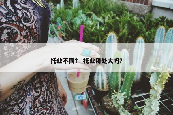 托业不同？ 托业用处大吗？