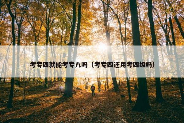 考专四就能考专八吗（考专四还用考四级吗）