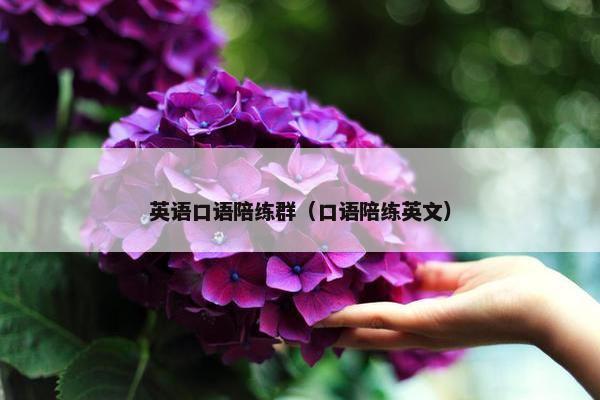 英语口语陪练群（口语陪练英文）