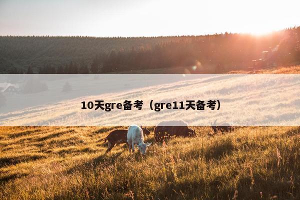 10天gre备考（gre11天备考）