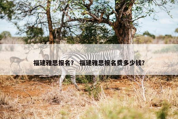 福建雅思报名？ 福建雅思报名费多少钱？