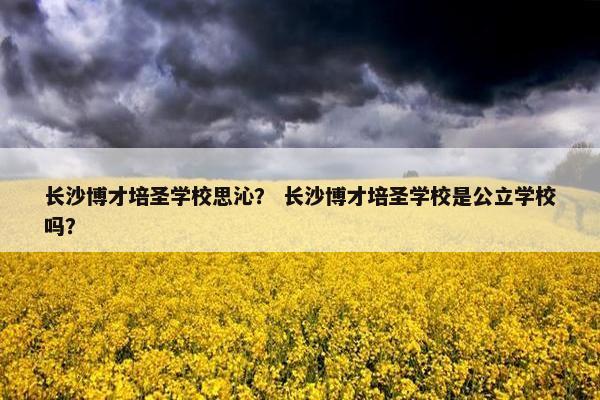 长沙博才培圣学校思沁？ 长沙博才培圣学校是公立学校吗？