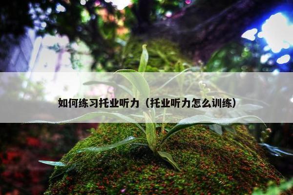 如何练习托业听力（托业听力怎么训练）