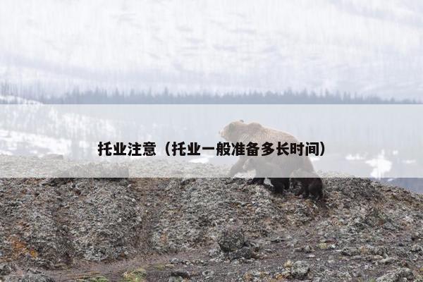 托业注意（托业一般准备多长时间）