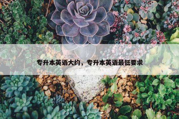 专升本英语大约，专升本英语最低要求