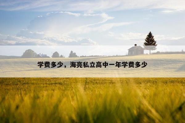 学费多少，海亮私立高中一年学费多少