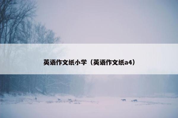 英语作文纸小学（英语作文纸a4）