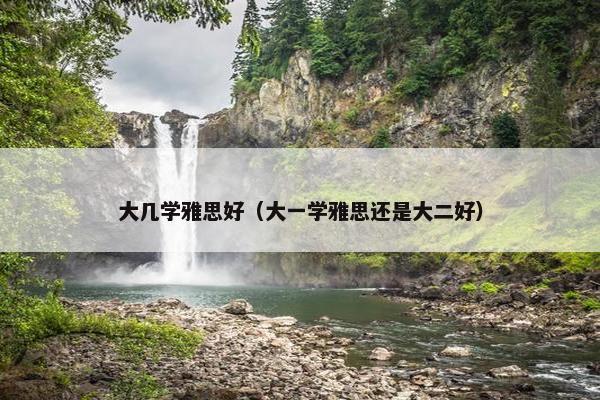 大几学雅思好（大一学雅思还是大二好）