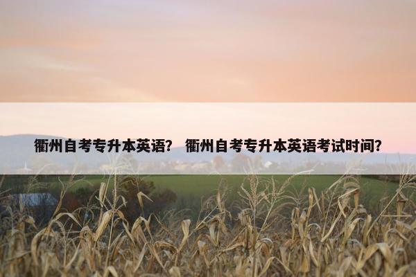 衢州自考专升本英语？ 衢州自考专升本英语考试时间？