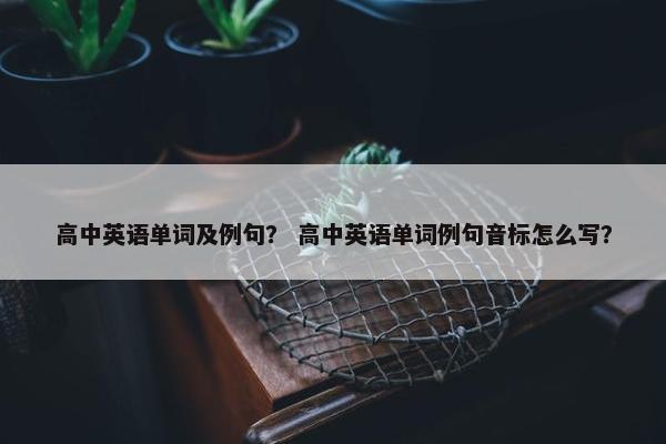 高中英语单词及例句？ 高中英语单词例句音标怎么写？