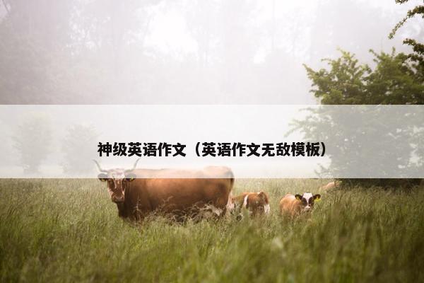 神级英语作文（英语作文无敌模板）