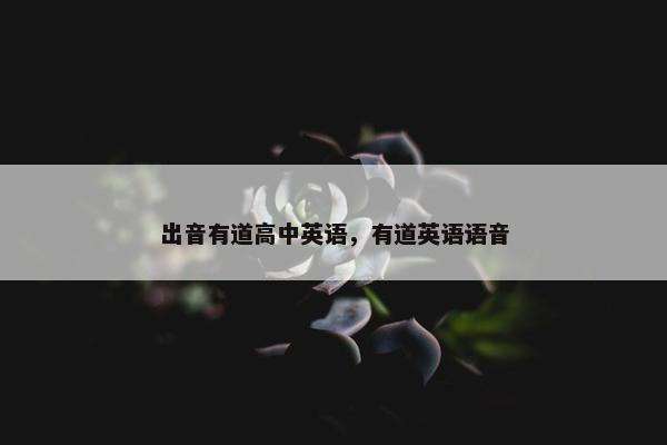出音有道高中英语，有道英语语音