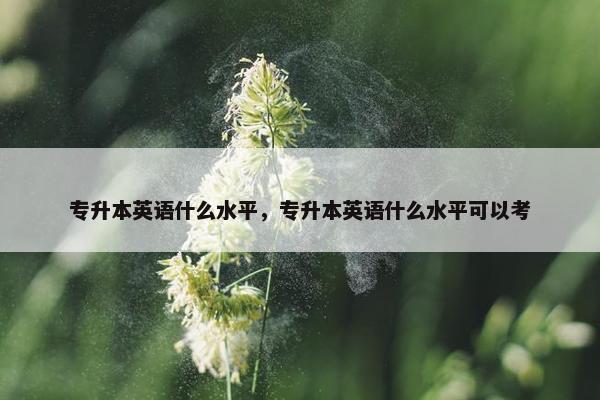 专升本英语什么水平，专升本英语什么水平可以考