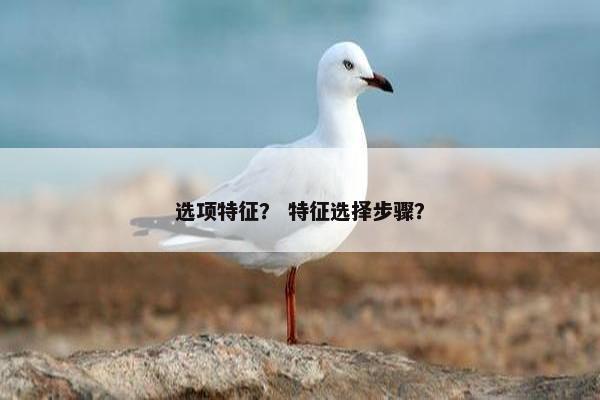 选项特征？ 特征选择步骤？