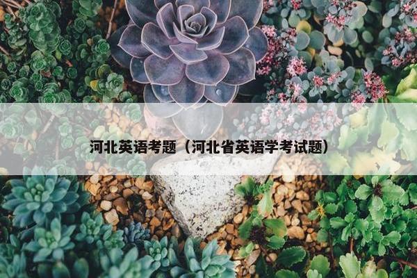 河北英语考题（河北省英语学考试题）