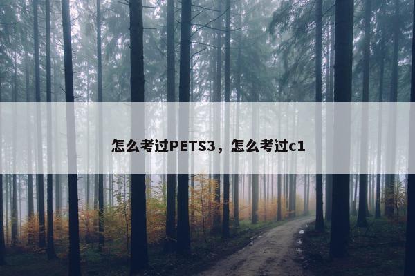 怎么考过PETS3，怎么考过c1