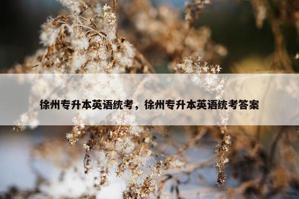 徐州专升本英语统考，徐州专升本英语统考答案