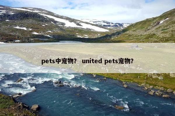 pets中宠物？ united pets宠物？