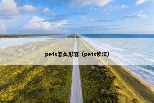 pets怎么形容（pets读法）