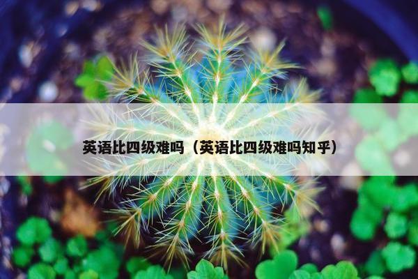 英语比四级难吗（英语比四级难吗知乎）