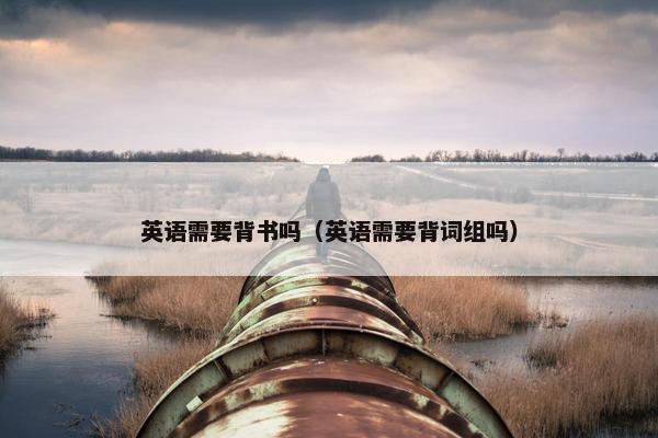 英语需要背书吗（英语需要背词组吗）
