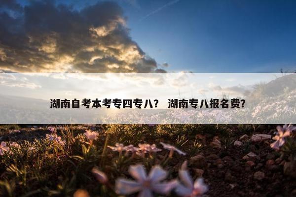 湖南自考本考专四专八？ 湖南专八报名费？