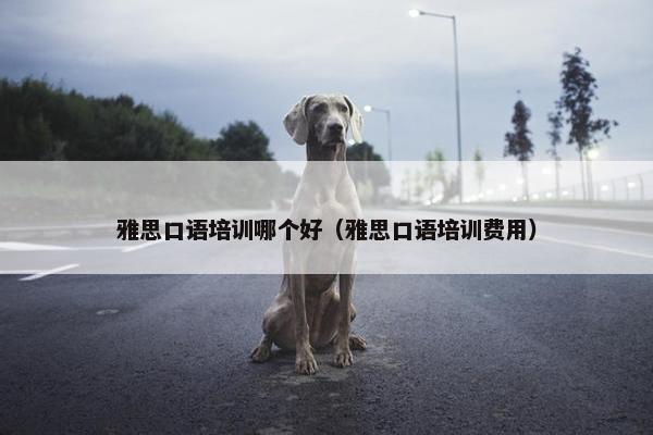 雅思口语培训哪个好（雅思口语培训费用）