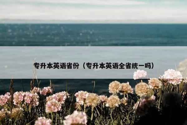 专升本英语省份（专升本英语全省统一吗）