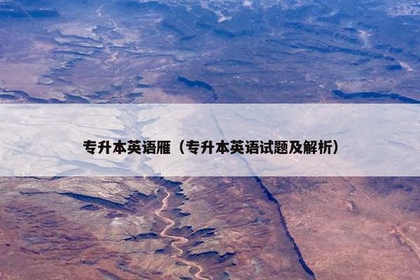 专升本英语雁（专升本英语试题及解析）