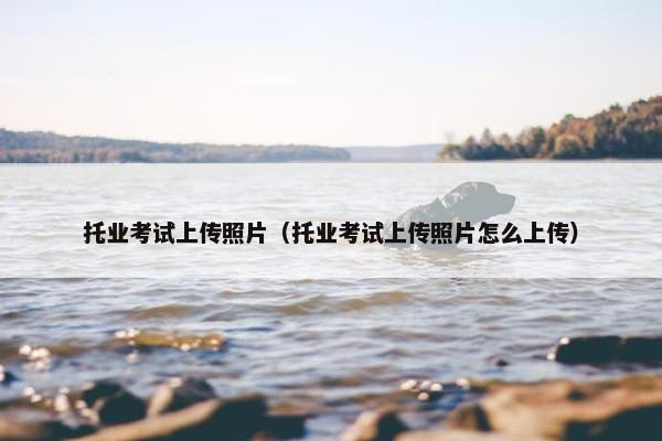 托业考试上传照片（托业考试上传照片怎么上传）