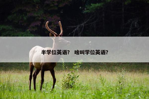 半学位英语？ 啥叫学位英语？