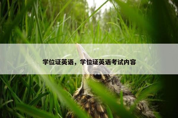 学位证英语，学位证英语考试内容