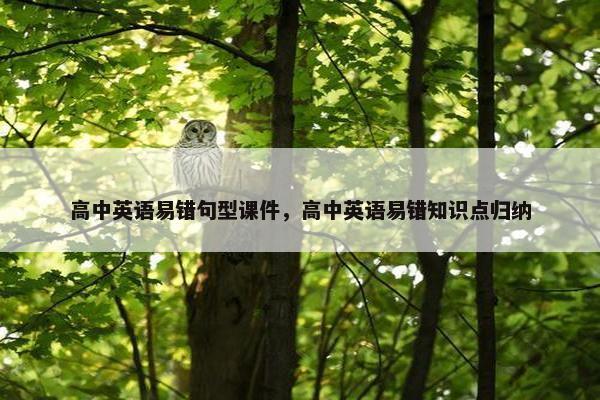 高中英语易错句型课件，高中英语易错知识点归纳
