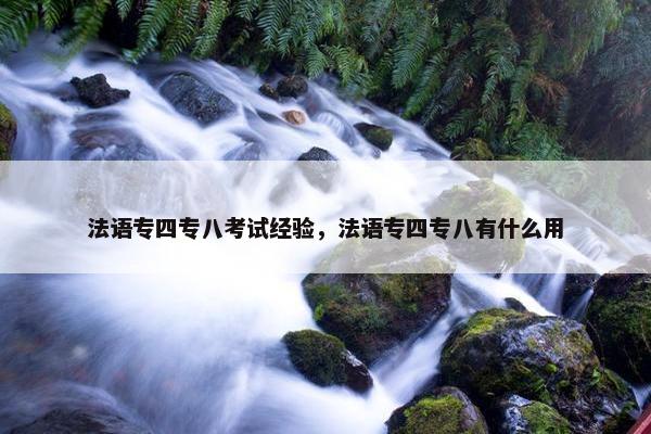 法语专四专八考试经验，法语专四专八有什么用