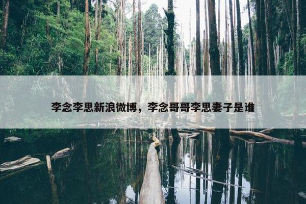 李念李思新浪微博，李念哥哥李思妻子是谁