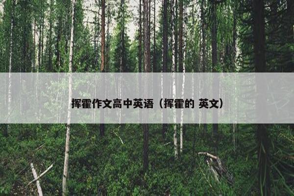 挥霍作文高中英语（挥霍的 英文）