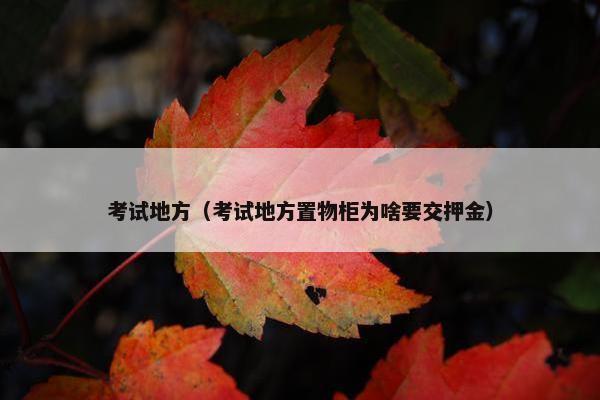 考试地方（考试地方置物柜为啥要交押金）
