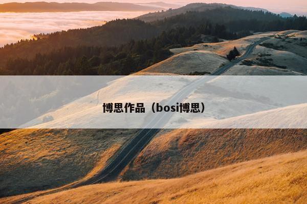 博思作品（bosi博思）
