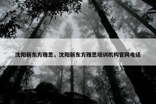 沈阳新东方雅思，沈阳新东方雅思培训机构官网电话