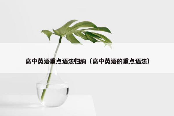 高中英语重点语法归纳（高中英语的重点语法）