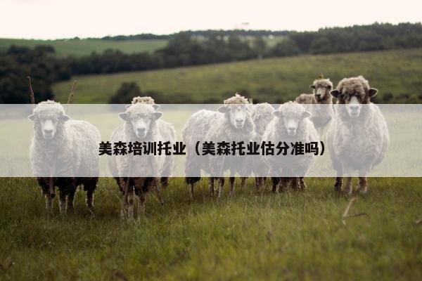 美森培训托业（美森托业估分准吗）