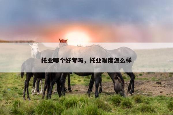 托业哪个好考吗，托业难度怎么样
