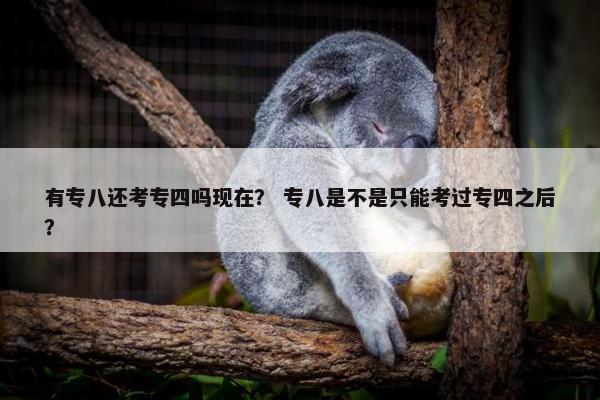 有专八还考专四吗现在？ 专八是不是只能考过专四之后？