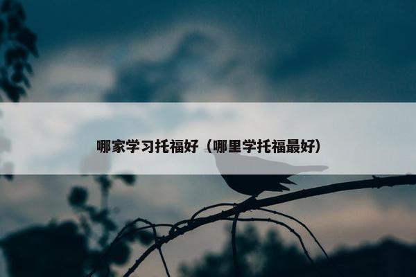 哪家学习托福好（哪里学托福最好）